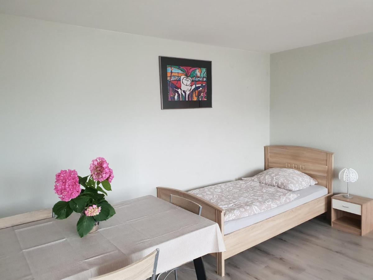 Mainzimmer Business Appartment - Monteurwohnung Mit Burgblick 베르트하임 외부 사진