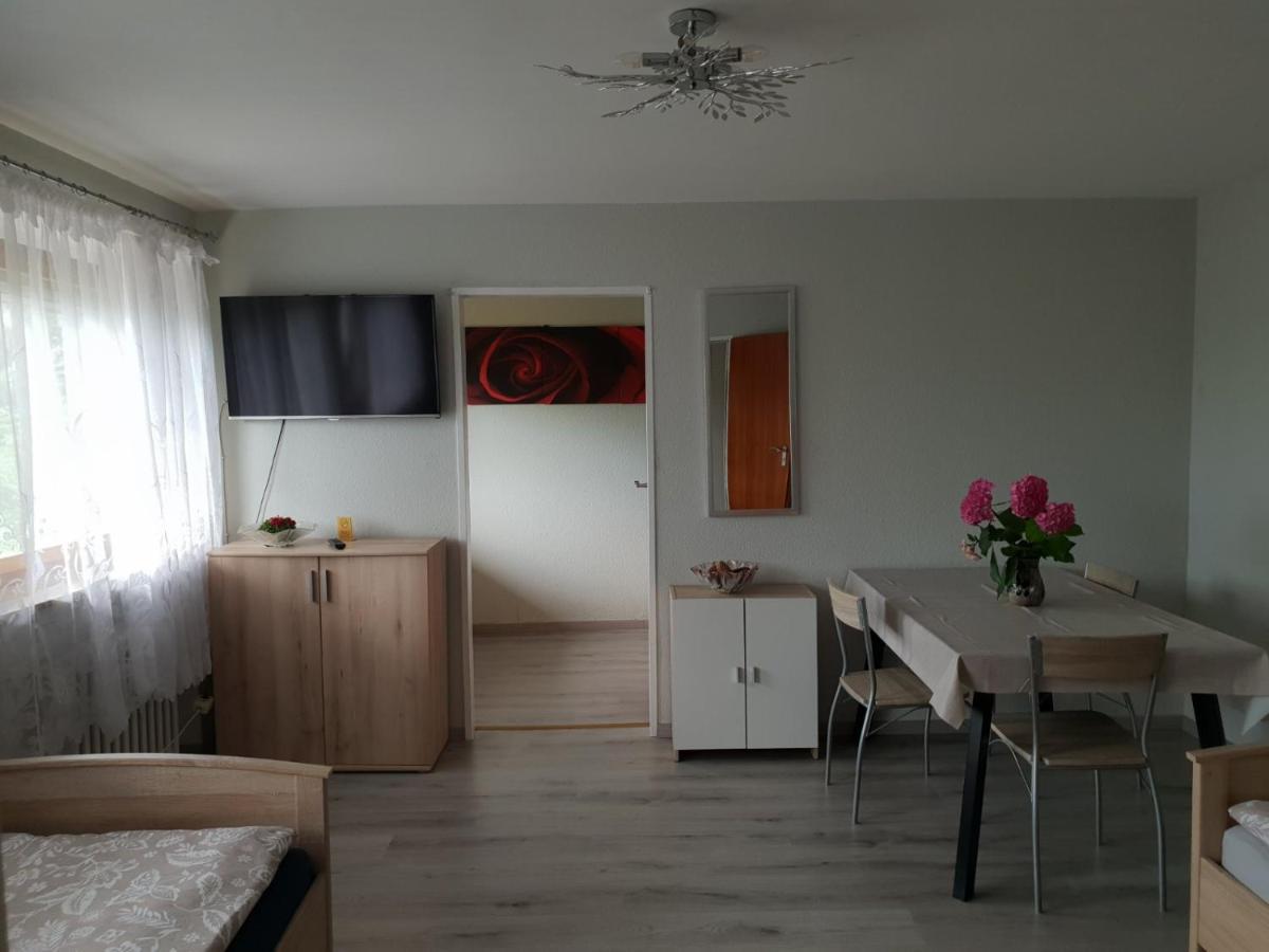 Mainzimmer Business Appartment - Monteurwohnung Mit Burgblick 베르트하임 외부 사진